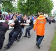 bild-106