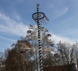Maibaum 2013