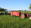 Oldtimer BJ 1956