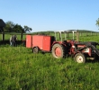 Oldtimer BJ 1956